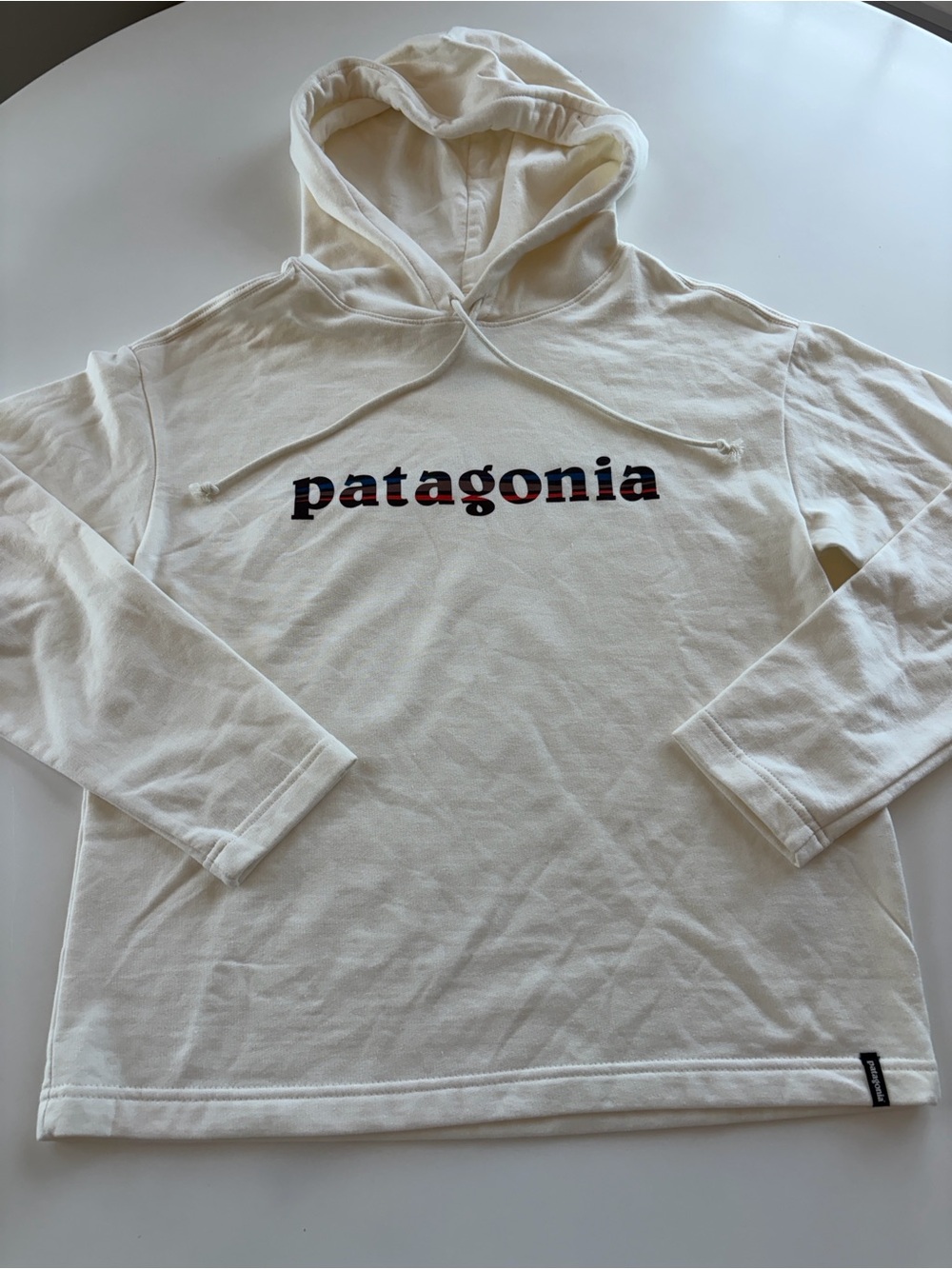 Patagonia Lightweight '73 Text Logo Wildrise Hoody